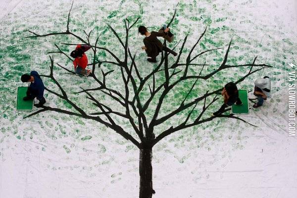 Footprint+Tree%2C+Shanghai%2C+China