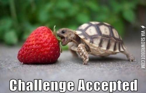Challenge+accepted.