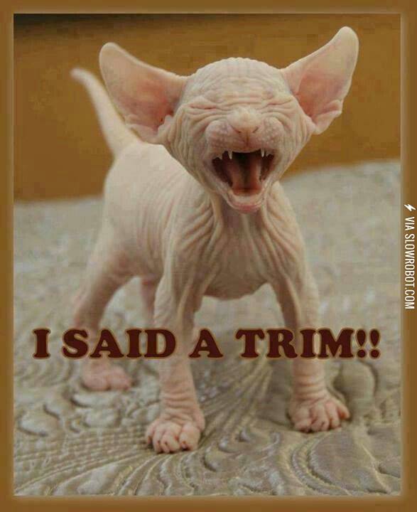 I+said+a+trim%21