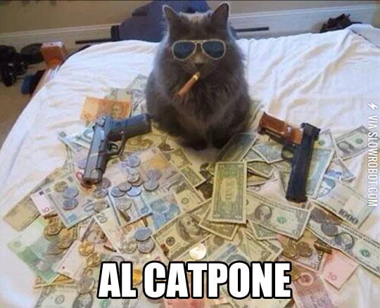 Al+Catpone