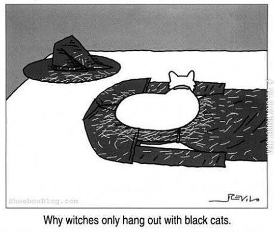Witches+And+Black+Cats