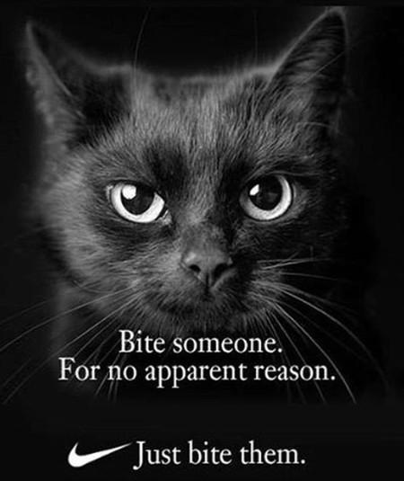 Bite+Someone.+For+No+Apparent+Reason.+Just%26%238230%3B