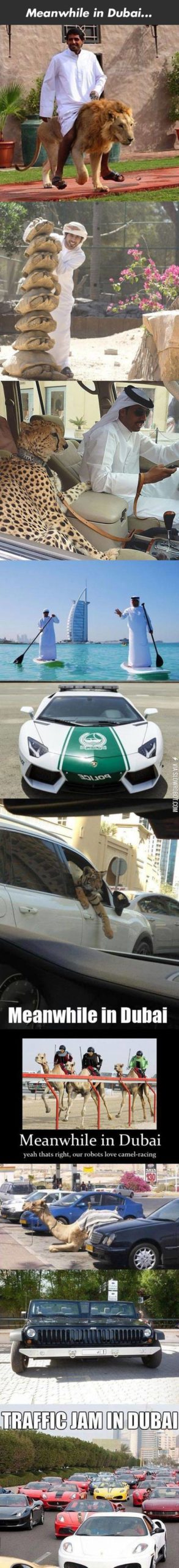 Meanwhile%2C+in+Dubai%26%238230%3B