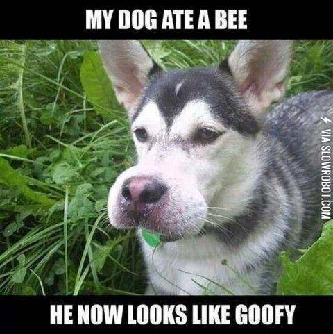 He+ate+a+bee