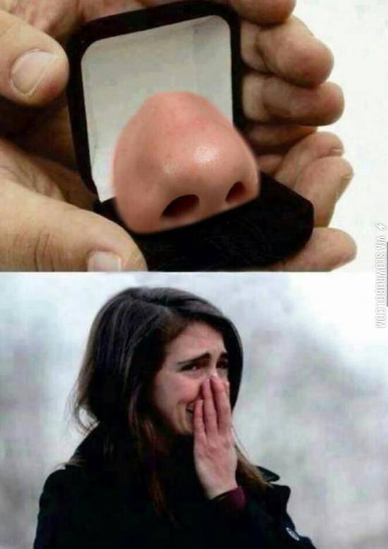 I+laughed+more+than+I+should+have