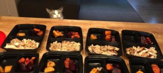 My+cat+likes+to+watch+me+meal+prep.