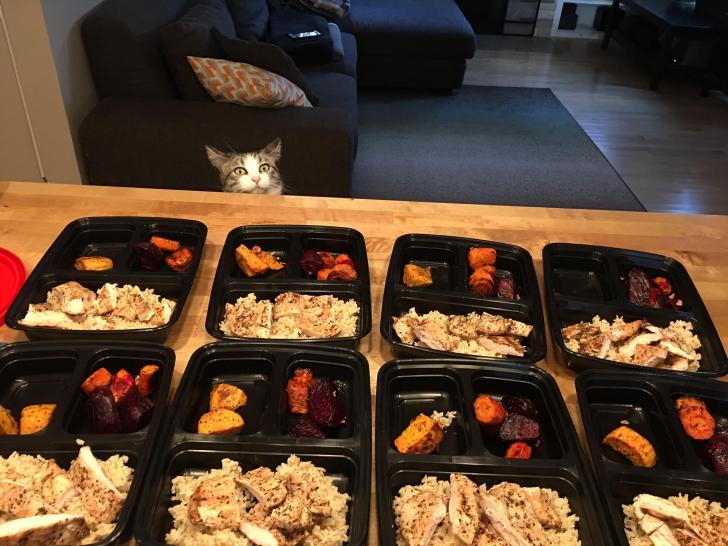My+cat+likes+to+watch+me+meal+prep.