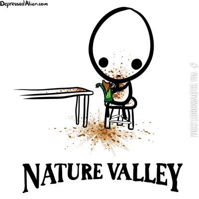 Nature+Valley+granola+bars.