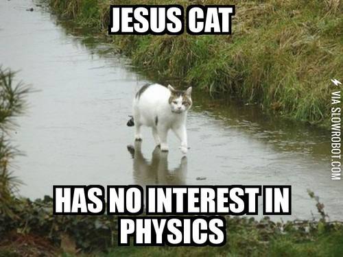 jesus+cat