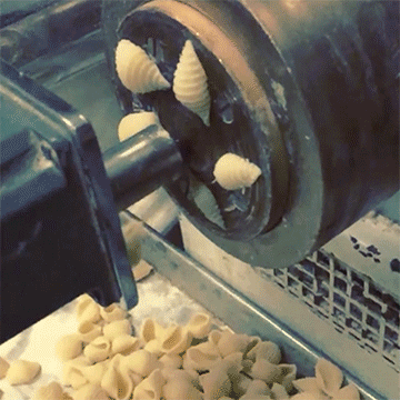 How+pasta+shells+are+made