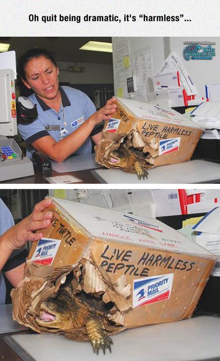 Frank%2C+You+Need+To+Chill+Out