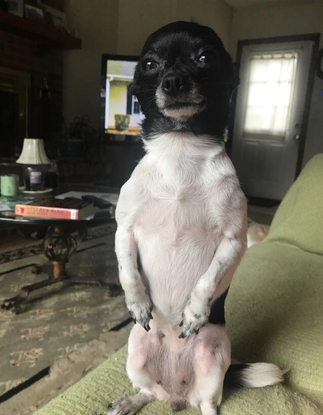 May+I+have+something%3F