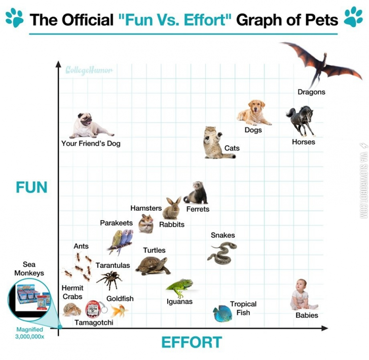 The+Official+%26%238220%3BFun+Vs.+Effort%26%238221%3B+Graph+of+Pets