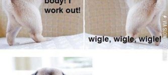 Wiggle+Wiggle+Wiggle+Yeah