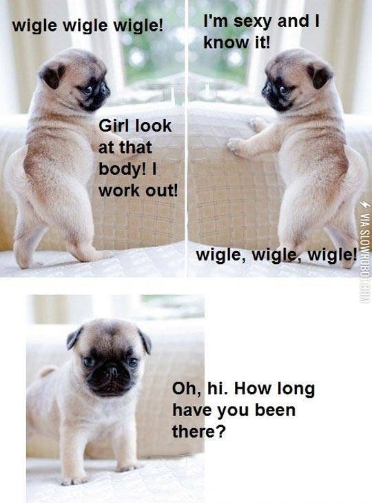 Wiggle+Wiggle+Wiggle+Yeah