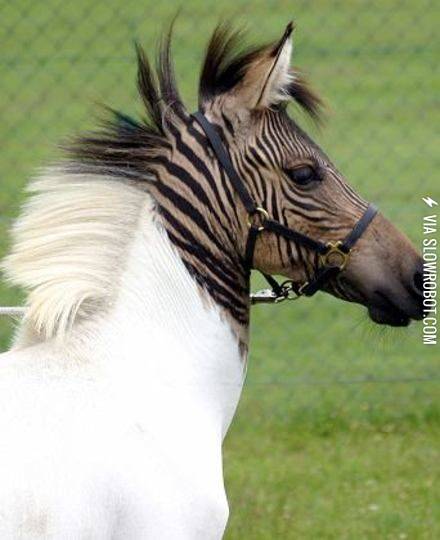 Loading%26%238230%3B25%25+complete%26%238230%3B