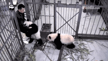 When+your+pets+love+you+too+much.