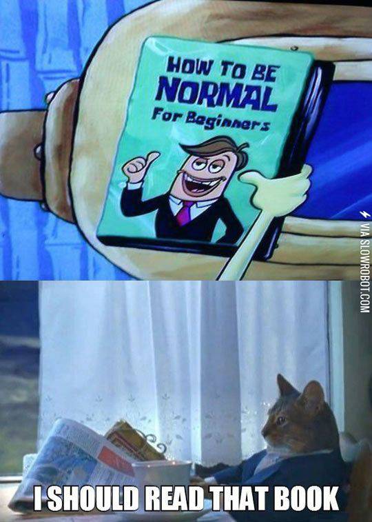 So+should+I%26%238230%3B