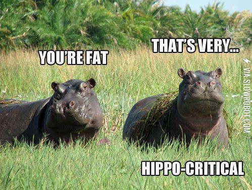 You%26%238217%3Bre+fat.