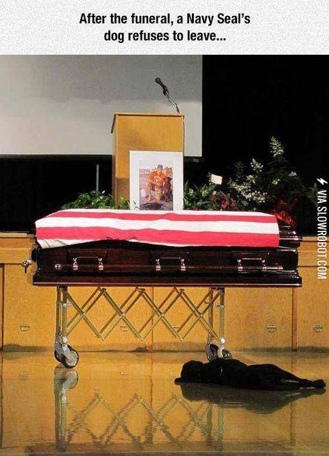 Friendships+never+die