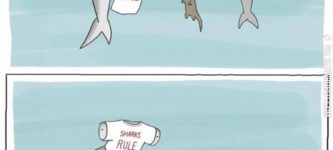 Sharks+Rule
