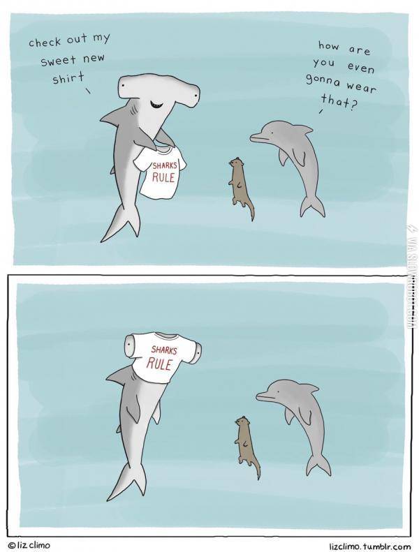 Sharks+Rule