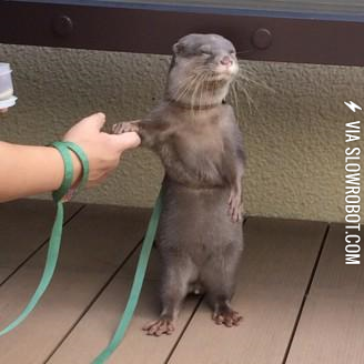 %26quot%3BSigh.+Okay%2C+I+will+hold+your+hand.+If+that+makes+you+feel+better%26quot%3B