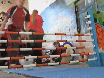 Bunny+works+smart%2C+not+hard