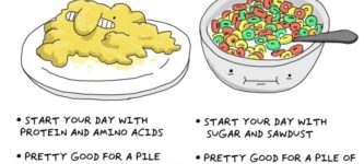 scrambled+eggs+vs+cereal%3A+a+guide