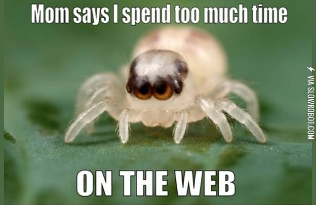 Mom+says+I+spend+too+much+time+on+the+web%26%238230%3B