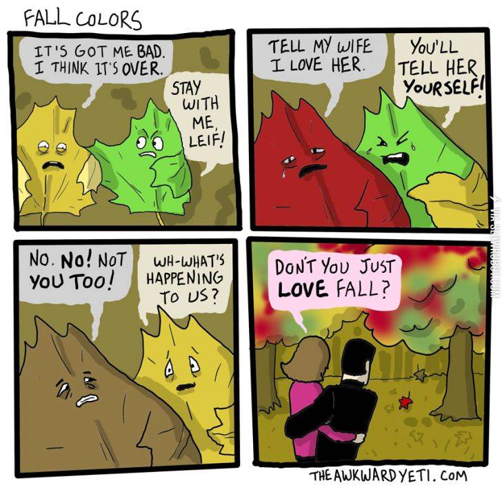 Fall+colors.