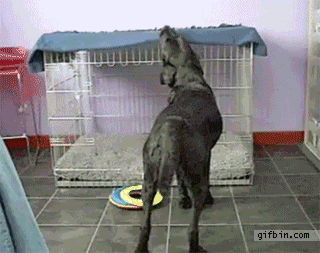 Very+clever%21%21%21