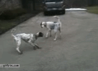 Best+actor+award+goes+to..