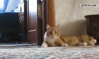 Awww%21%21+I+am+going..