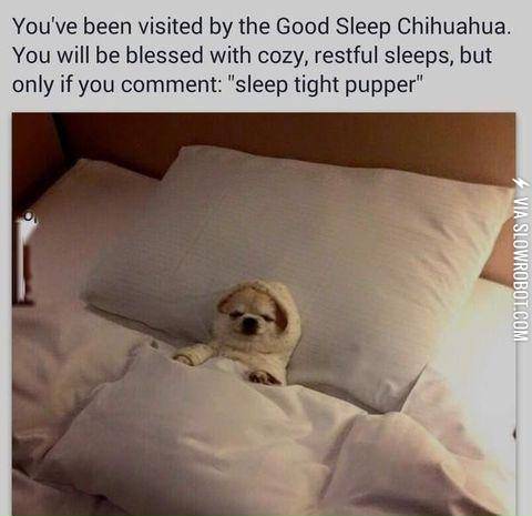 Sleep+tight+pupper