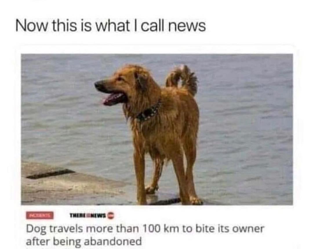 Now+that%26%238217%3Bs+what+I+call+news+2019