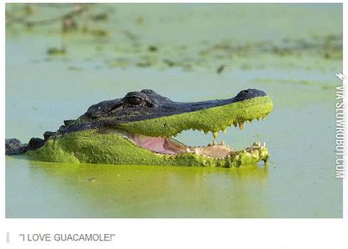 Don%26%238217%3Bt+we+all.