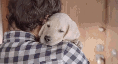 Don%26%238217%3Bt+drink+and+drive