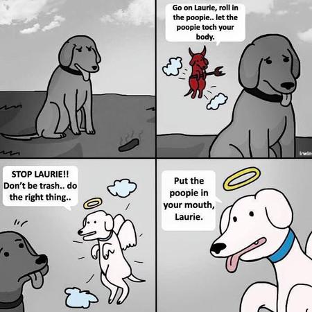 Go+On+Laurie%2C+Roll+In+The+Poopie