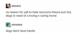 Pet+raccoons