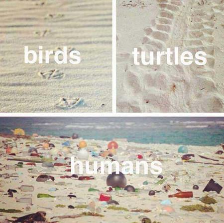 The+Trail+We+Leave+Behind