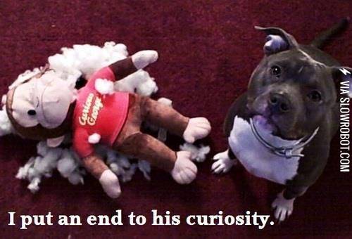 I+put+an+end+to+his+curiosity.