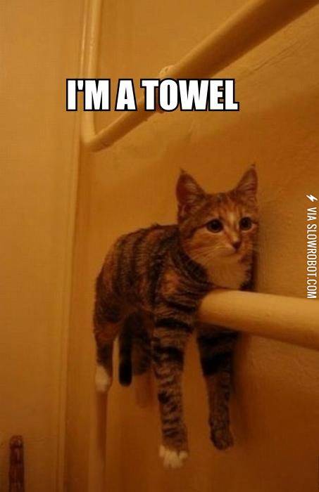 I%26%238217%3Bm+a+towel.