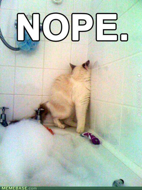 Whenever+someone+brings+up+Justin+Bieber