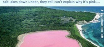 The+Only+Pink+Lake+In+The+World