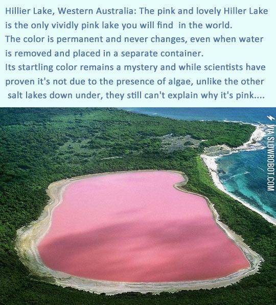 The+Only+Pink+Lake+In+The+World