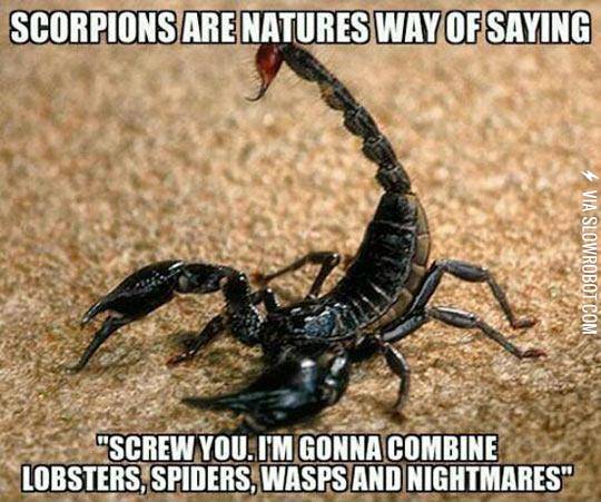 Truth+About+Scorpions