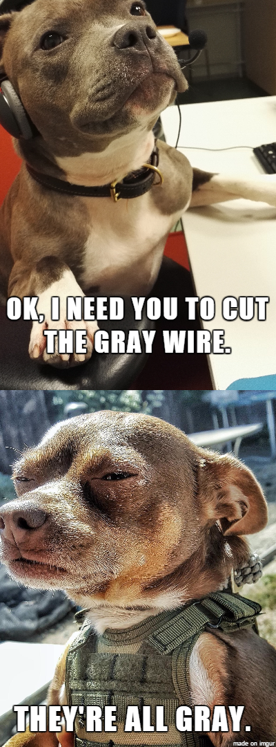 OK%2C+Maybe+having+an+all+K9+Bomb+Squad+wasn%26%238217%3Bt+the+best+idea%26%238230%3B