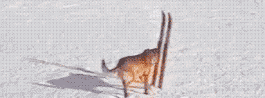 I%26%238217%3Bm+not+even+mad%26%238230%3B+That%26%238217%3Bs+amazing.