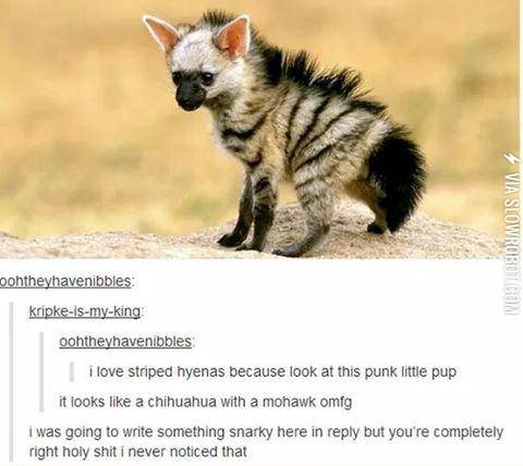 It%26%238217%3Bs+so+cute%21